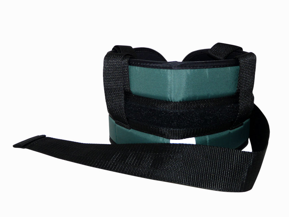 Padded Transfer Belt