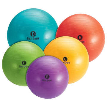 LOMI Fitness Stability Ball : : Sports & Outdoors